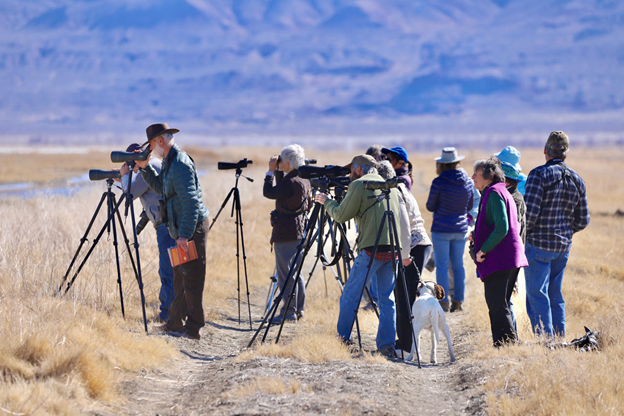 A group of birders looking through binoculars and spotting scopes while standing in an open field near a marsh.